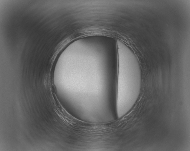 X0000054420099200507290936