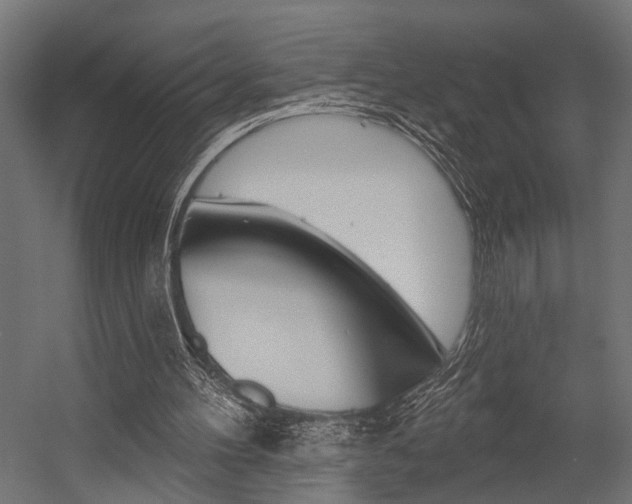 X0000054420100200507290936