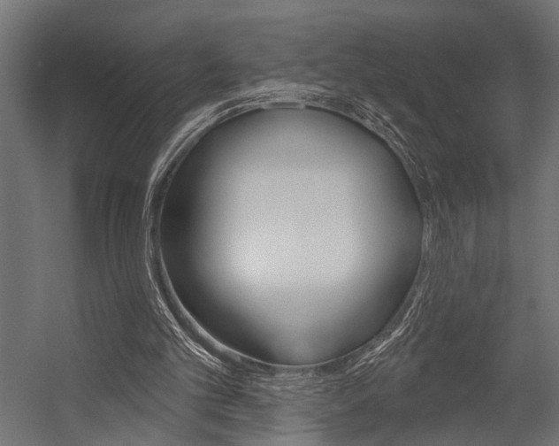 X0000054420101200507290936