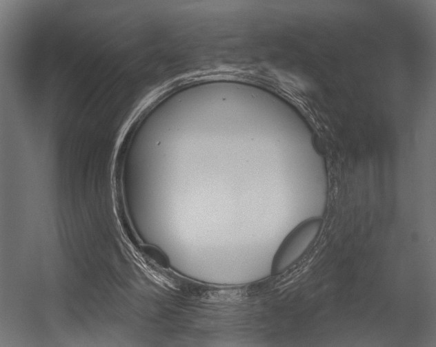 X0000054420102200507290936