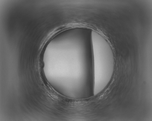 X0000054420103200507290936