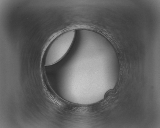 X0000054420104200507290936