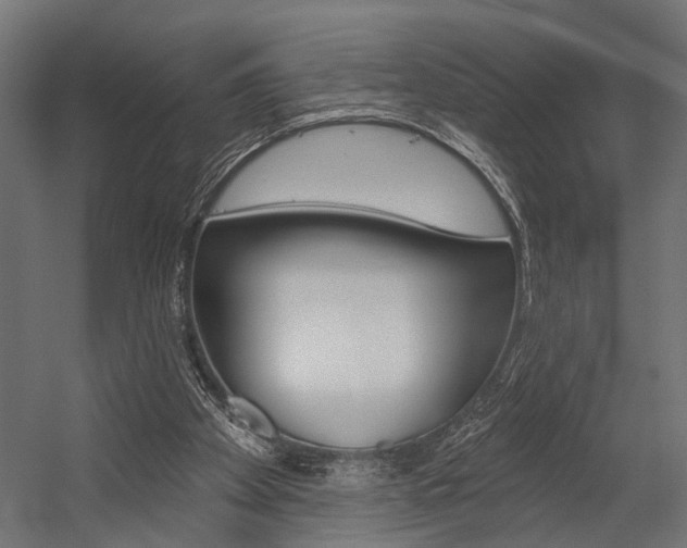 X0000054420105200507290936