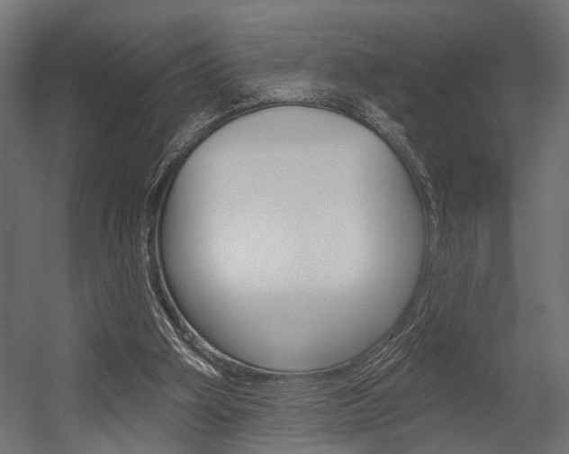 X0000054420106200507290936