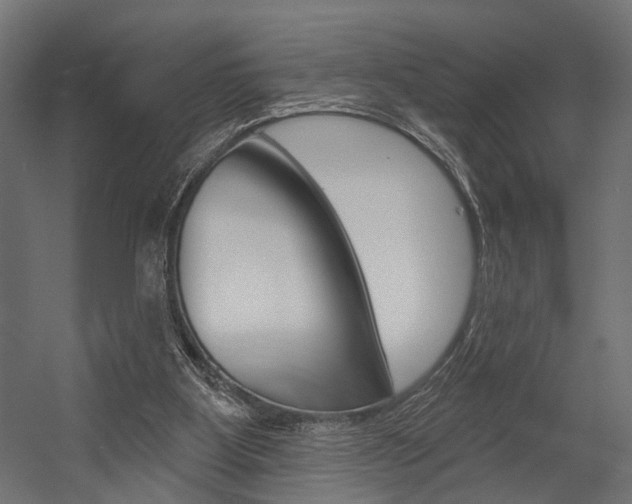 X0000054420107200507290936