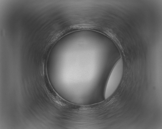 X0000054420109200507290936