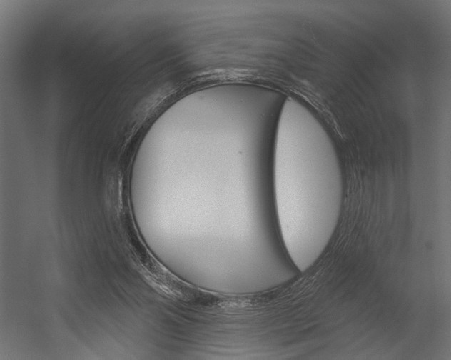 X0000054420110200507290936