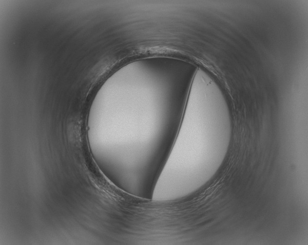 X0000054420111200507290936