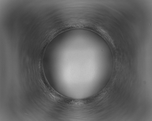 X0000054420113200507290936