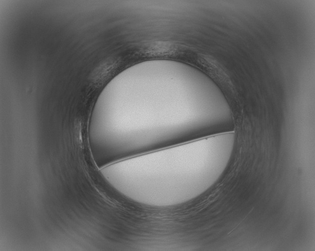 X0000054420115200507290936