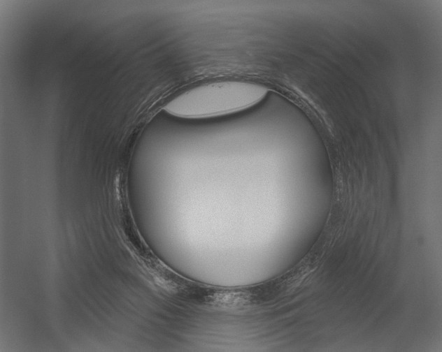 X0000054420117200507290936