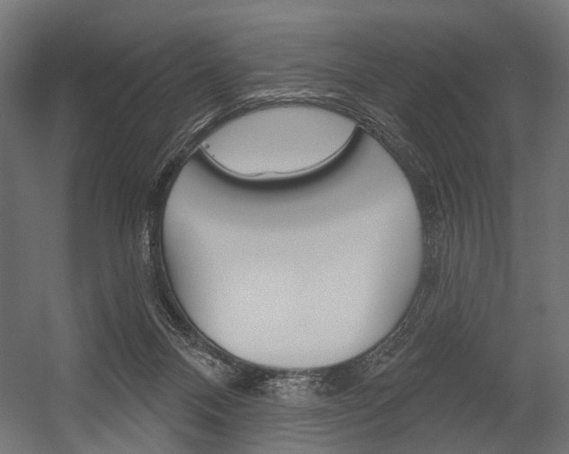 X0000054420120200507290936