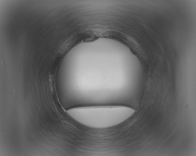 X0000054420121200507290936