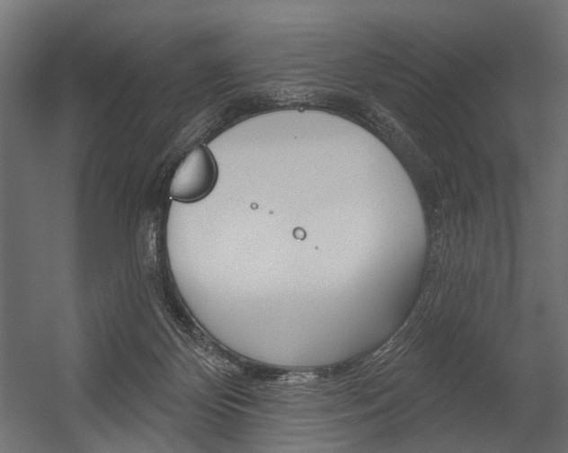 X0000054420124200507290936