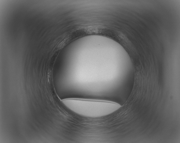 X0000054420125200507290936