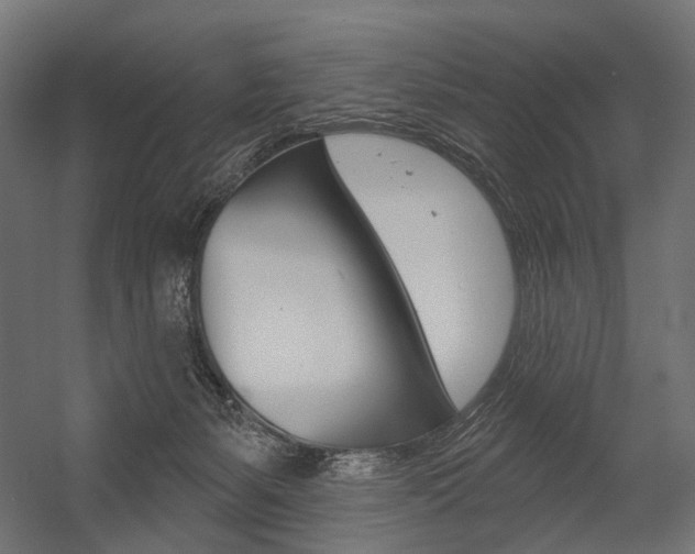 X0000054420127200507290936