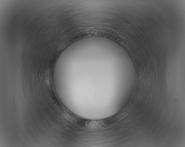 X0000054420129200507290936