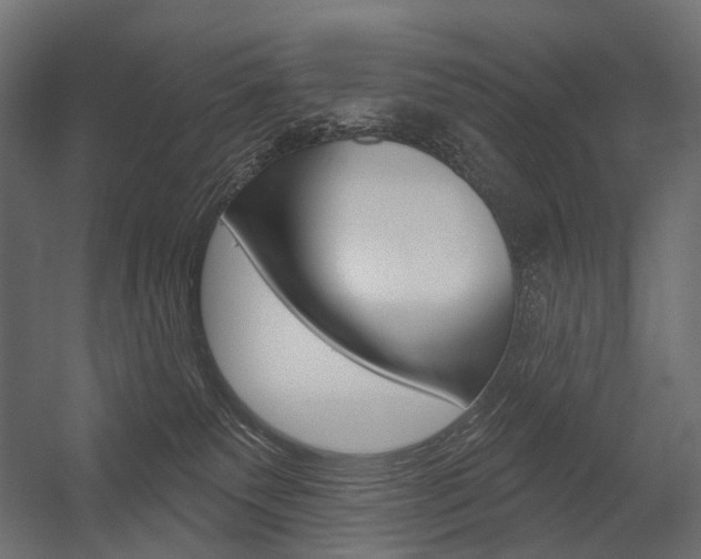 X0000054420135200507290936