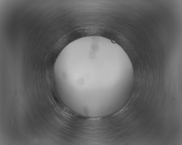 X0000054420136200507290936