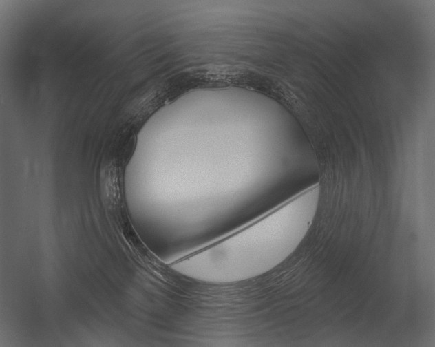 X0000054420137200507290936