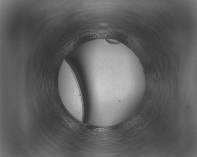 X0000054420139200507290936