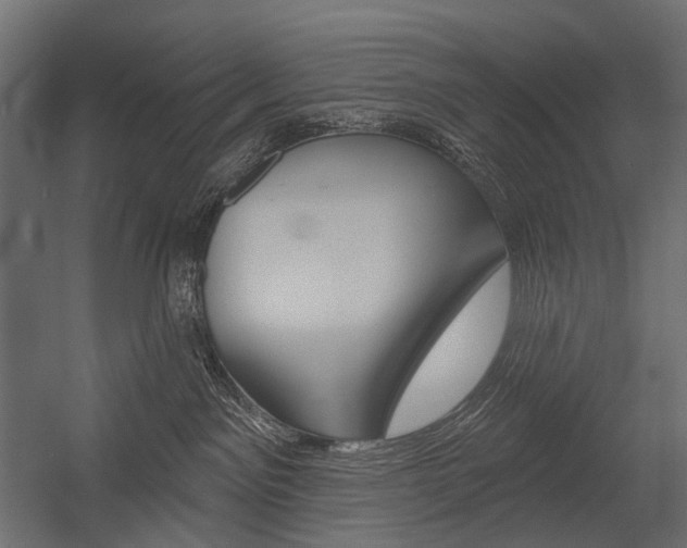 X0000054420141200507290936