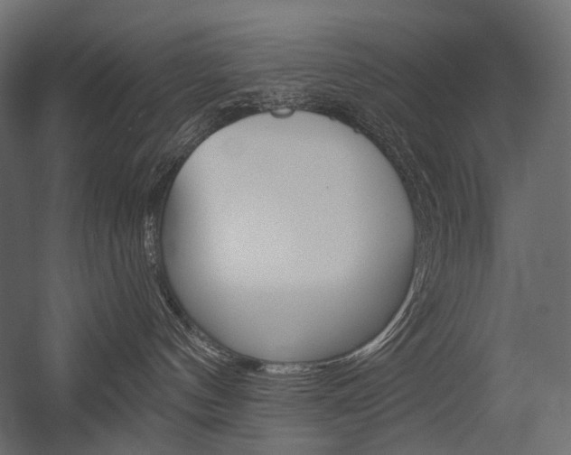 X0000054420144200507290935