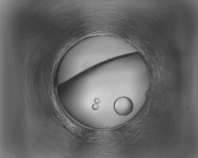 X0000054420145200507290935