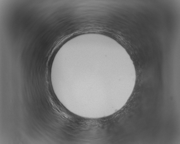 X0000054420146200507290935