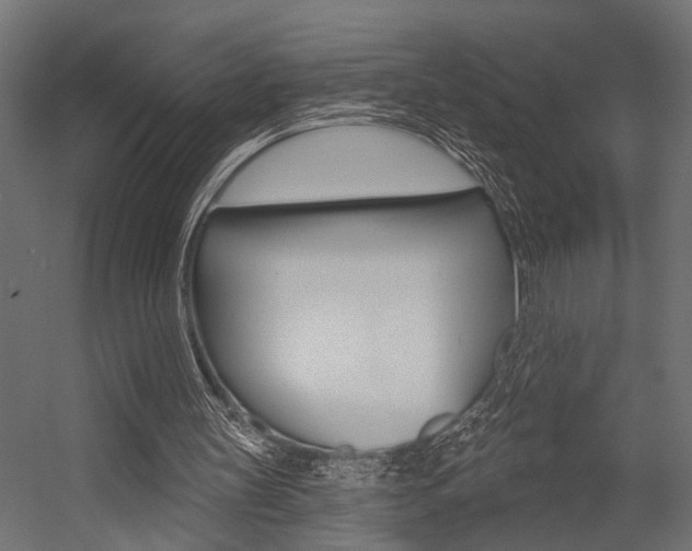 X0000054420147200507290935