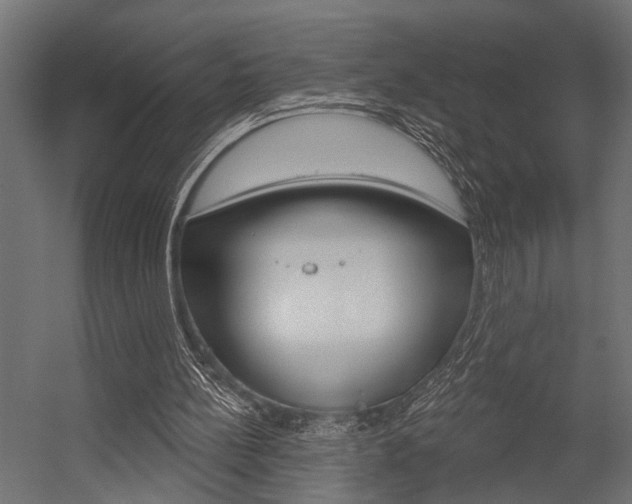 X0000054420148200507290935