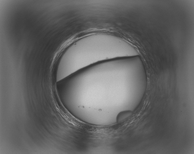 X0000054420149200507290935