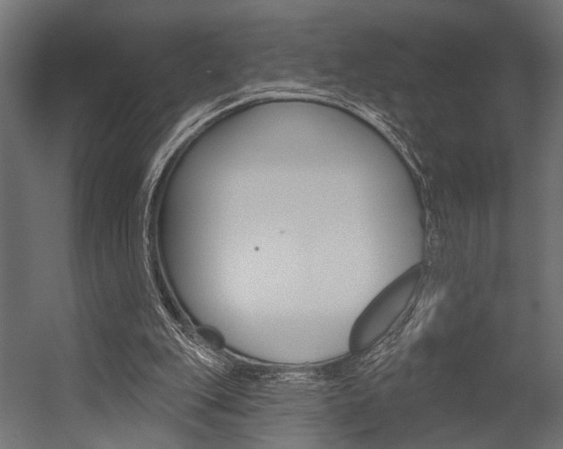 X0000054420151200507290935