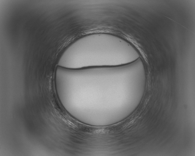 X0000054420153200507290935