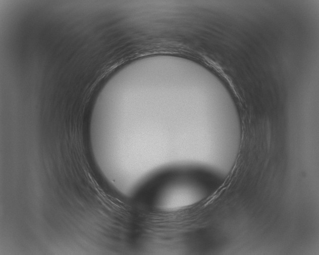 X0000054420154200507290935