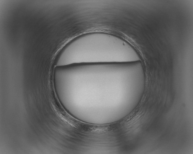 X0000054420155200507290935