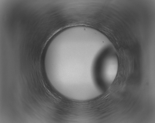 X0000054420156200507290935