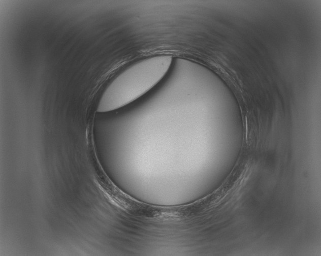 X0000054420157200507290935