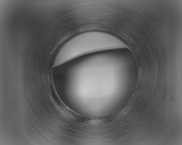 X0000054420158200507290935