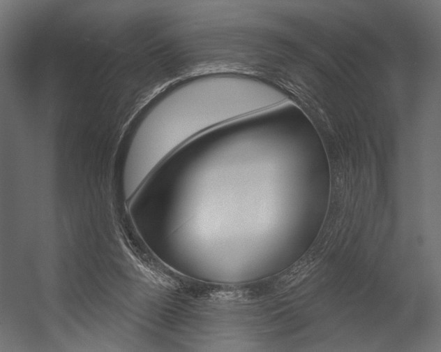 X0000054420160200507290935