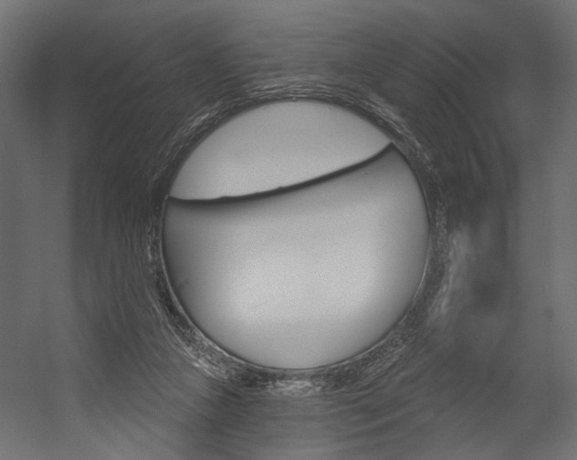 X0000054420161200507290935