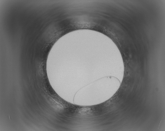 X0000054420162200507290935