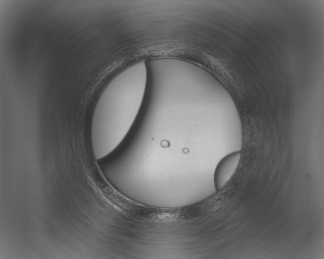 X0000054420163200507290935