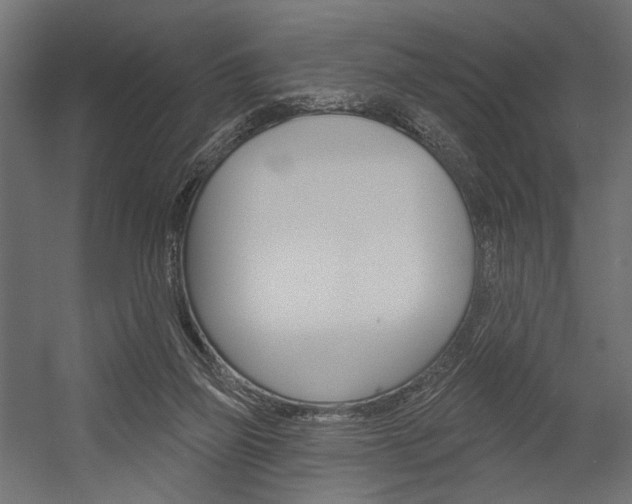 X0000054420165200507290935