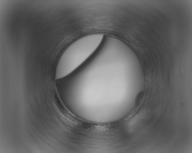 X0000054420166200507290935