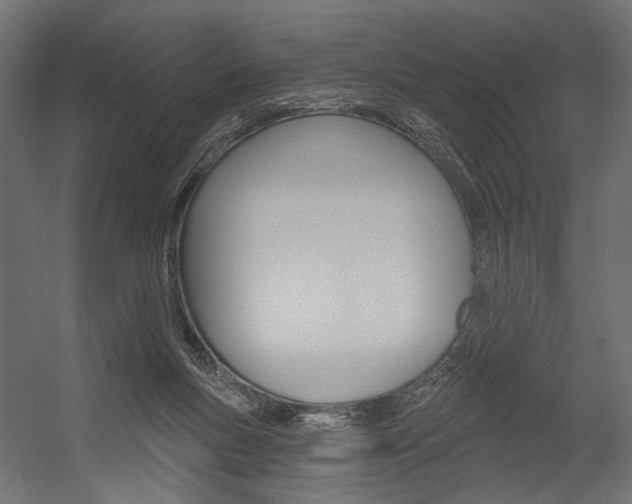 X0000054420167200507290935