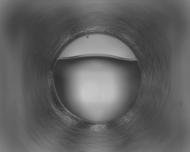 X0000054420168200507290935