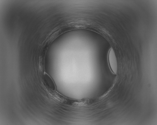 X0000054420170200507290935