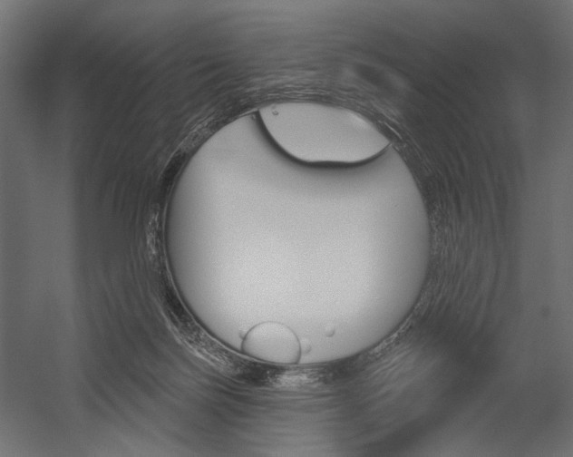 X0000054420171200507290935