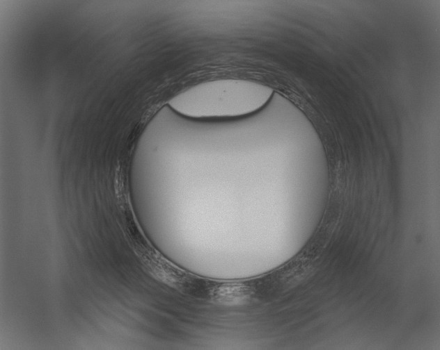 X0000054420173200507290935